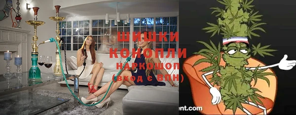 круглые Белокуриха