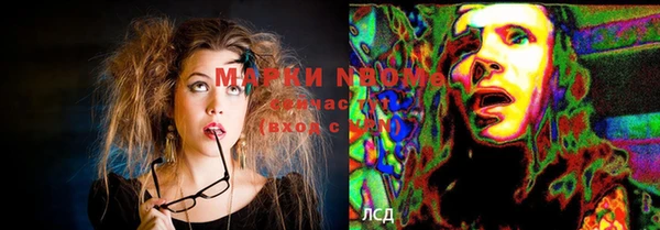 круглые Белокуриха